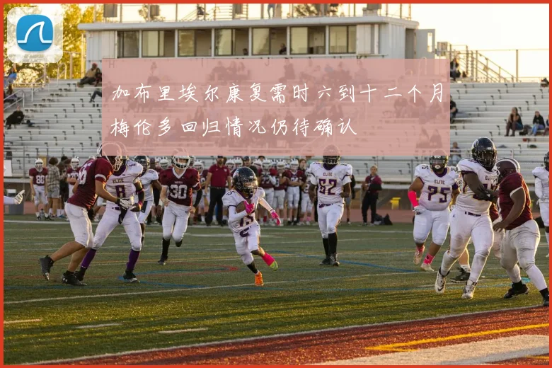 加布里埃尔康复需时六到十二个月梅伦多回归情况仍待确认