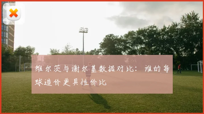 维尔茨与谢尔基数据对比：谁的每球造价更具性价比
