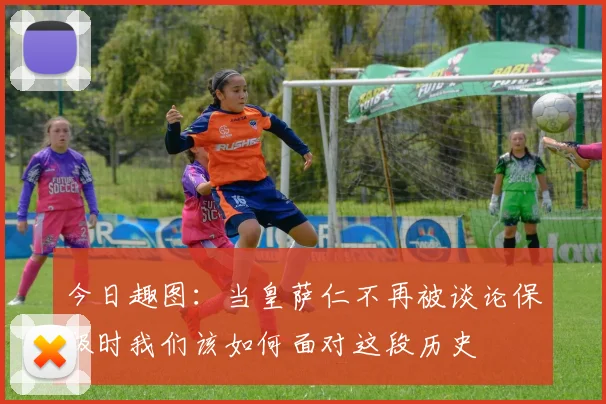 今日趣图：当皇萨仁不再被谈论保级时我们该如何面对这段历史