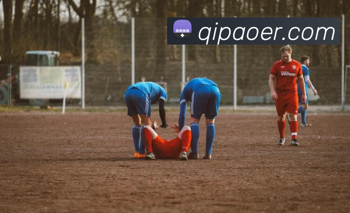 乐鱼官方网站，乐鱼online（中国）平台生态图