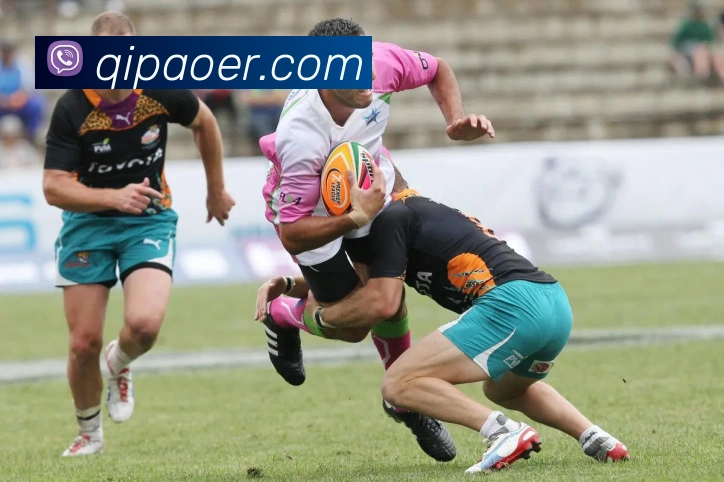 乐鱼官方网站，乐鱼online（中国）全站App